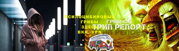 PSILOCYBIN Дмитриев