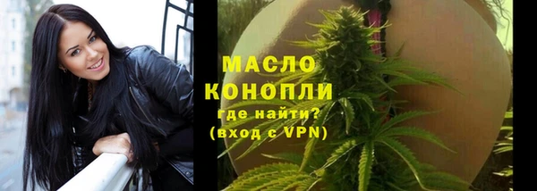 прущие грибы Заводоуковск