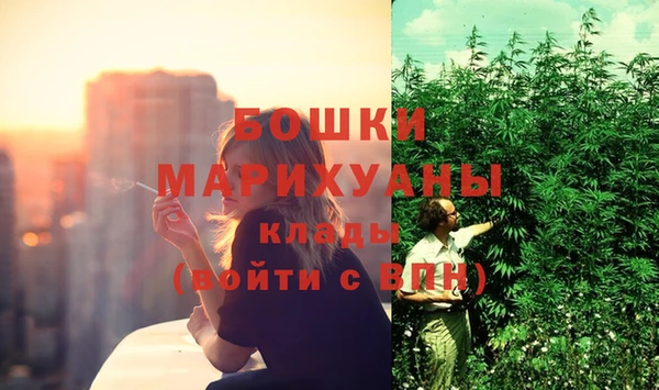 спайс Ельня