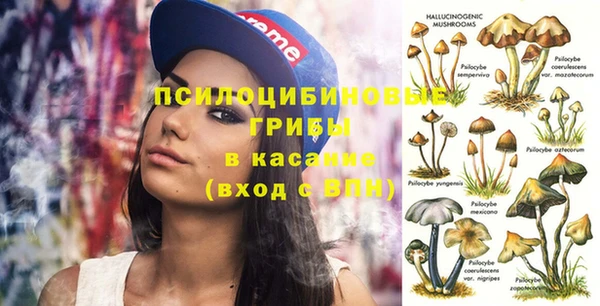 мдма Заволжск