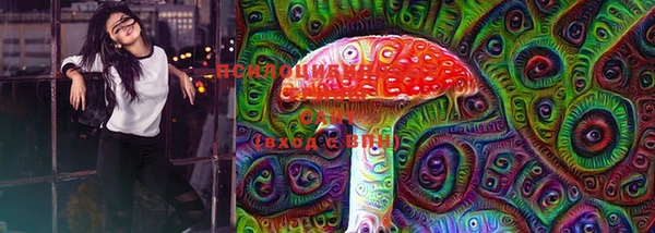 спайс Ельня