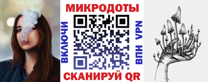купить наркоту Выборг Галлюциногенные грибы Psilocybine cubensis